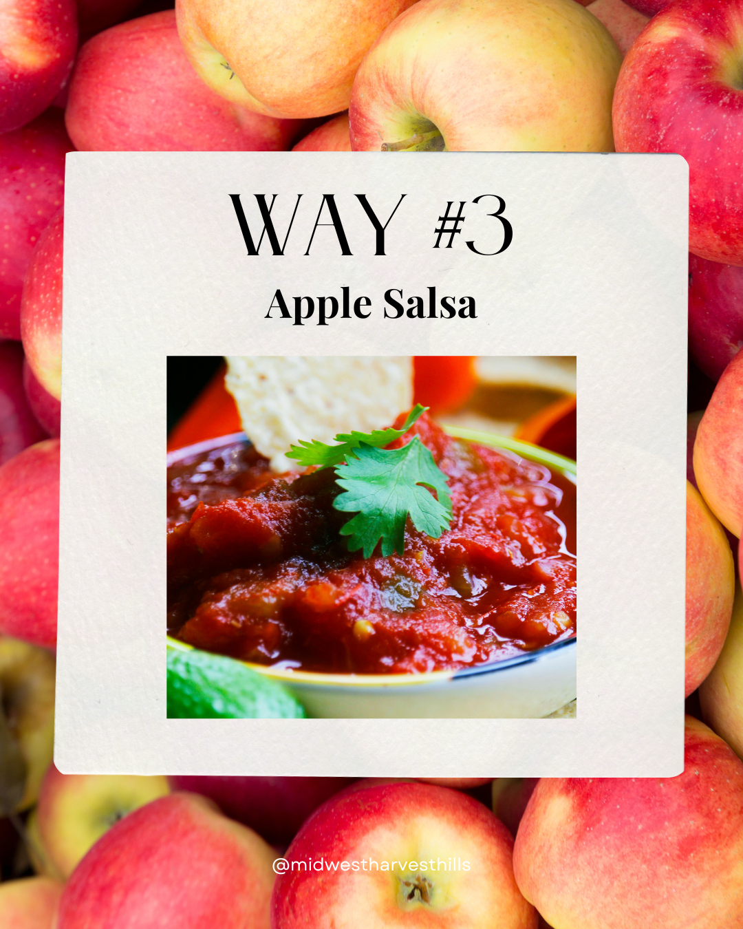 Bowl of apple salsa with a tortilla chip