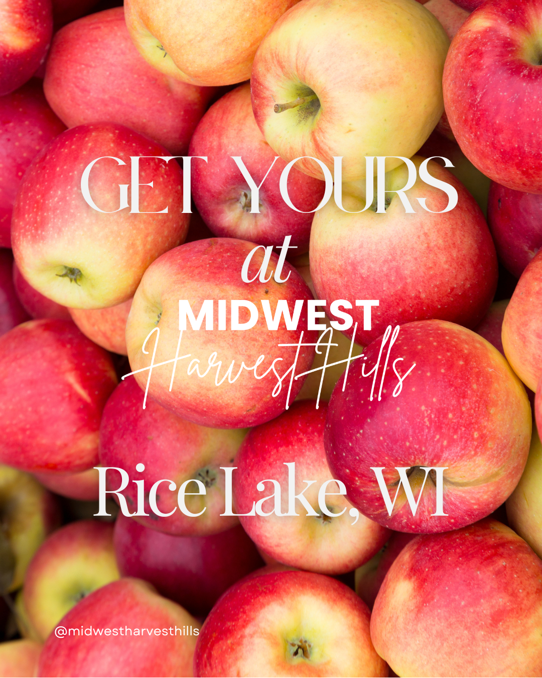 Get your apples at Midwest Harvest Hills in Rice Lake, Wisconsin