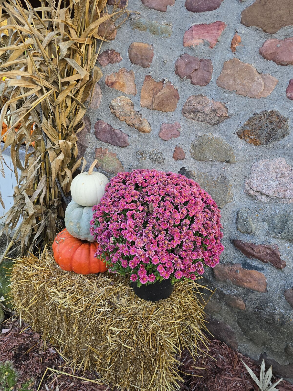 Stone wall decorated with mums and pumpkins