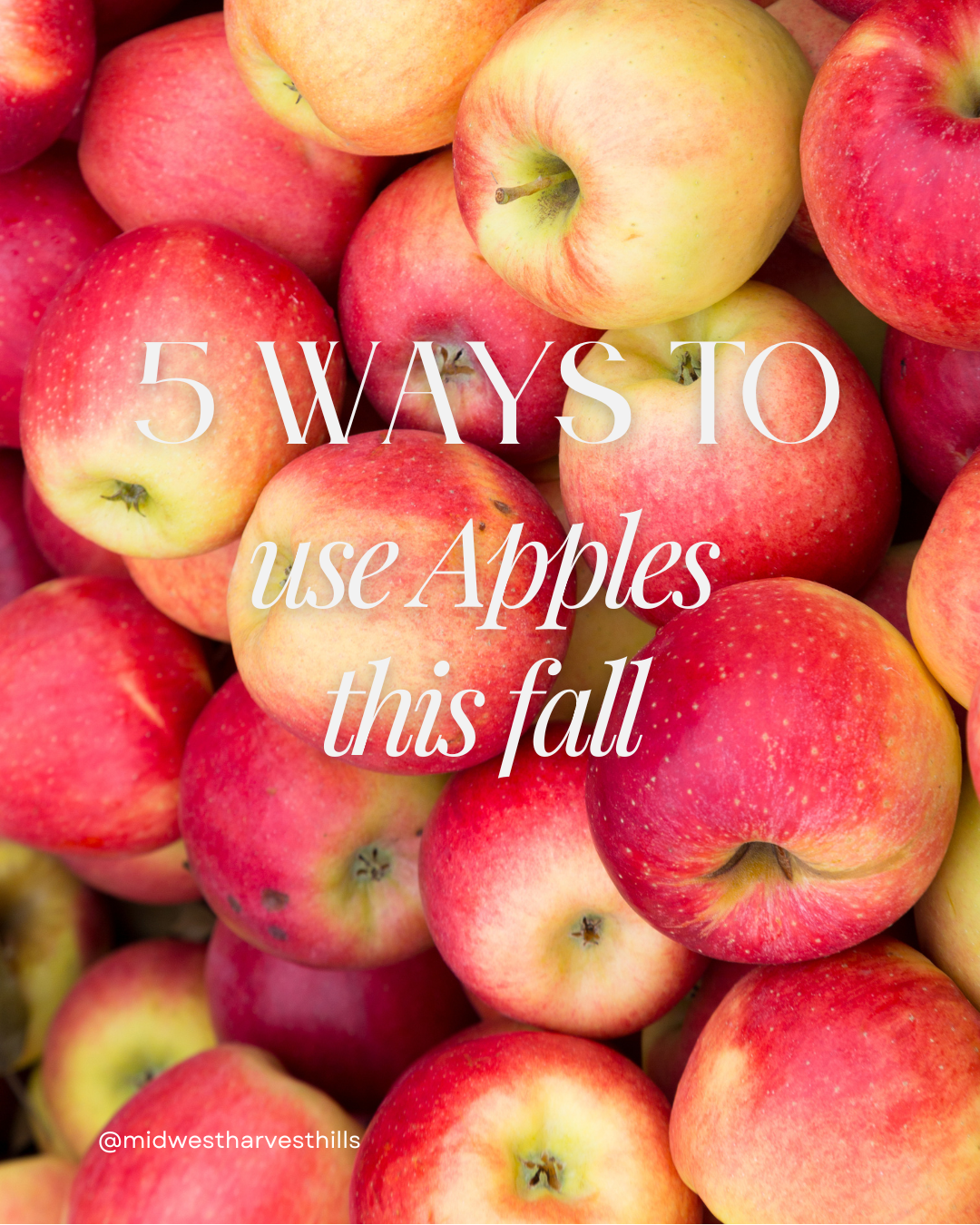5 ways to use apples this fall
