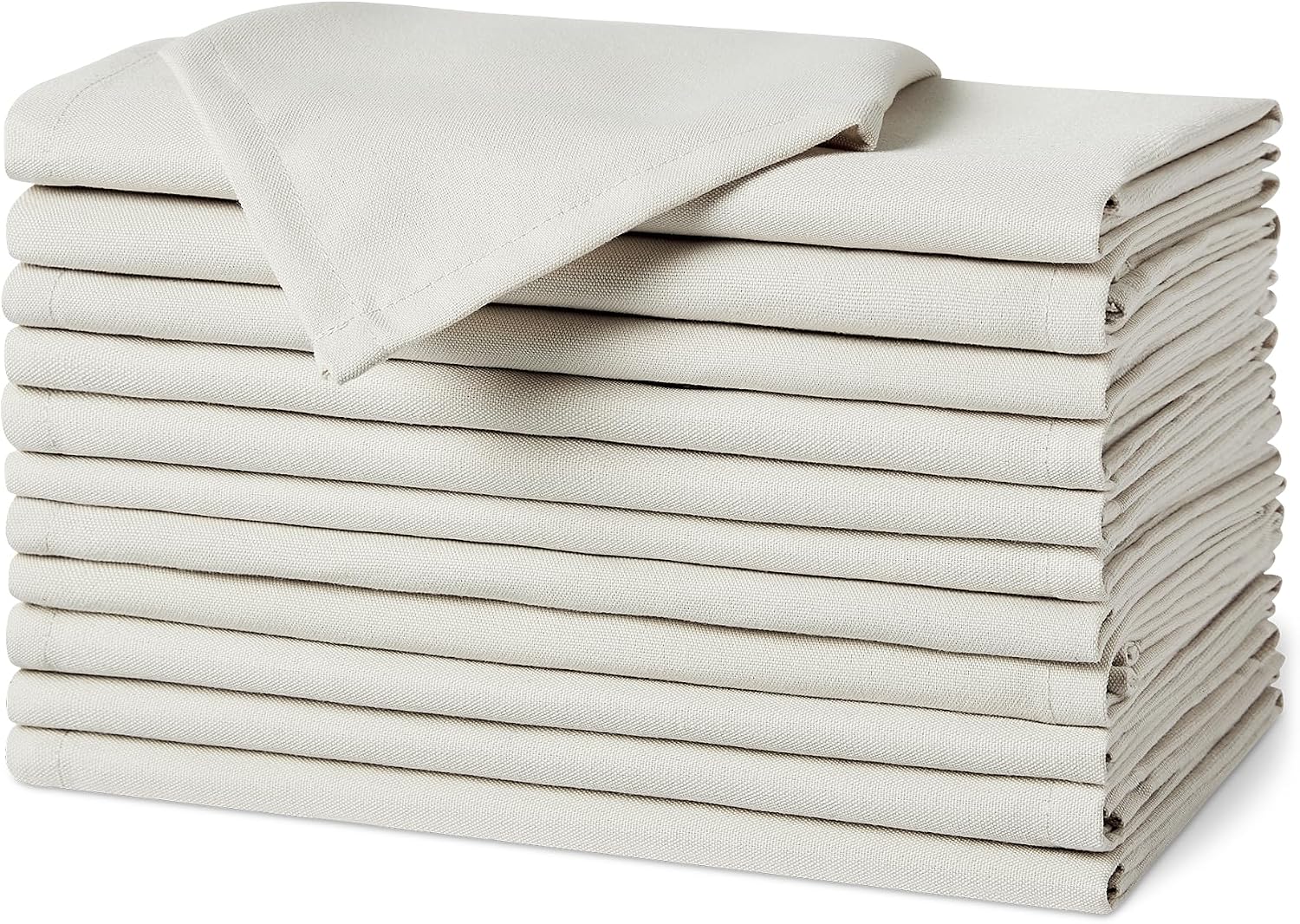 Cloth napkin set