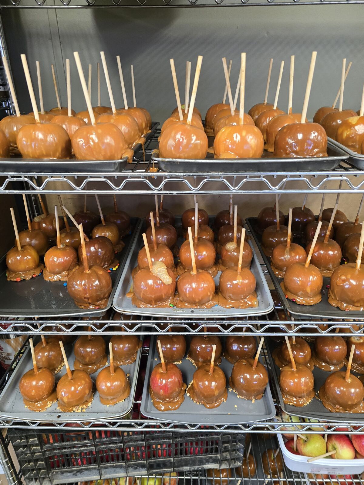 Racks of fresh caramel apples