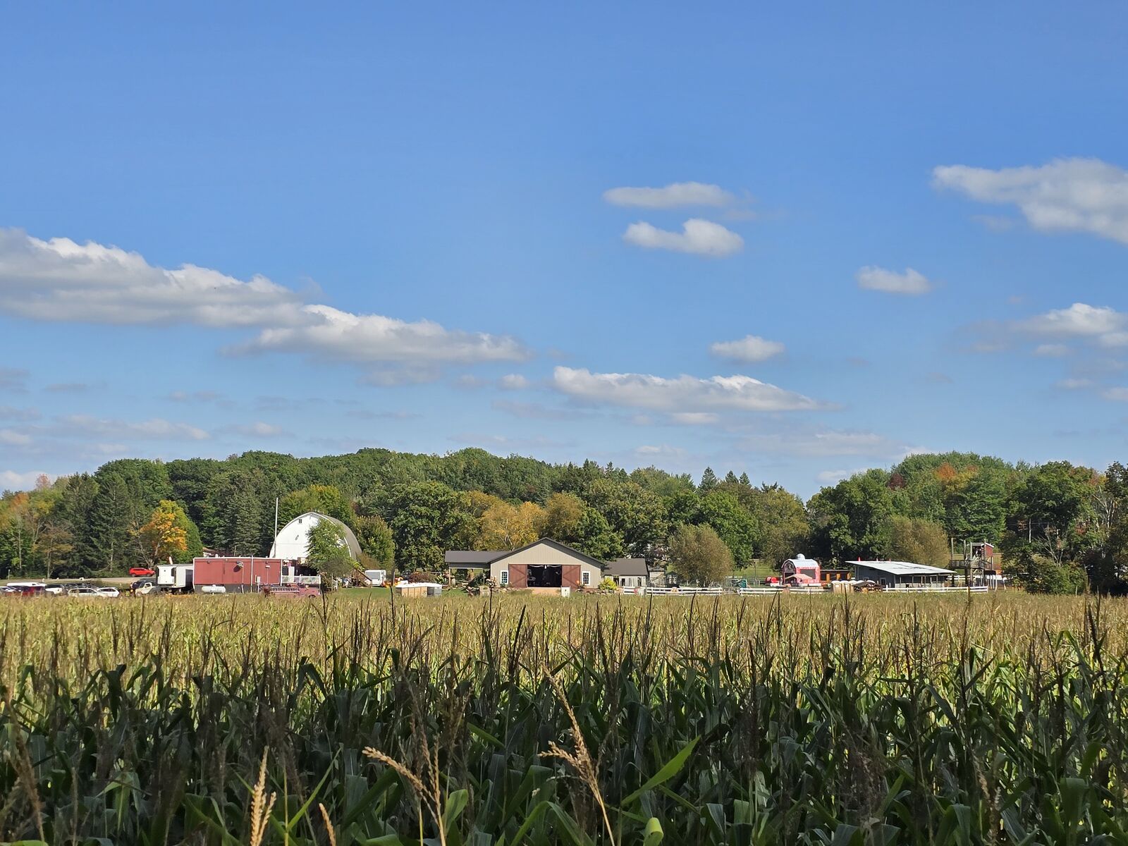 Farm fields and barn under a fall sky