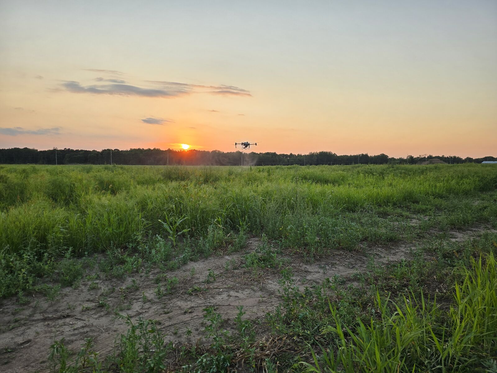 Sunset over the open field