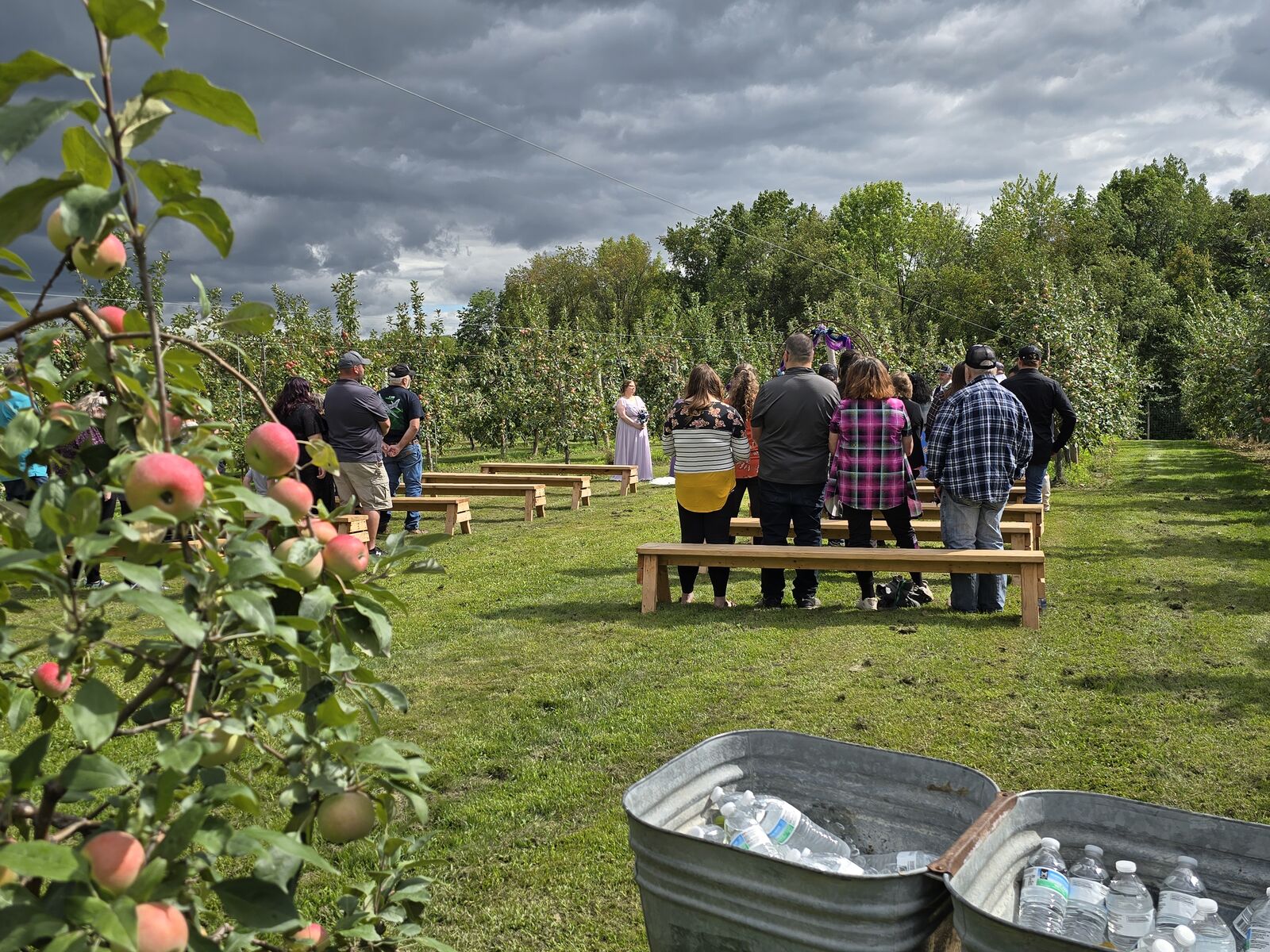 Visitors picking apples in the orchard