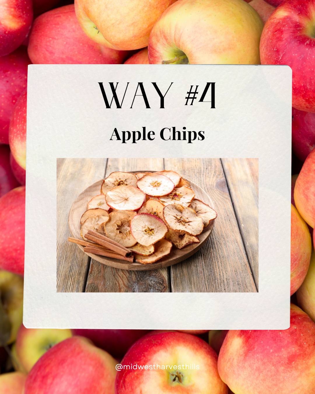 Dried apple chips on a wooden plate with cinnamon sticks