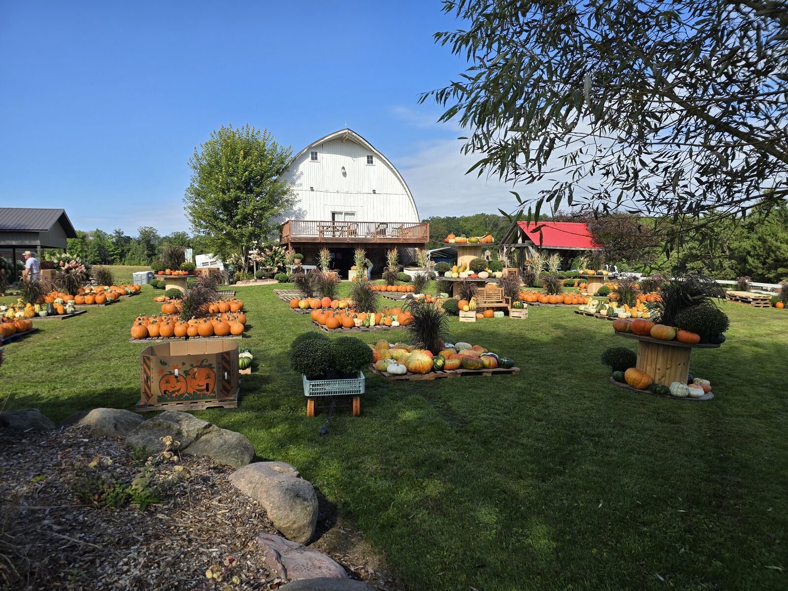The historic barn with pumpkin displays out front