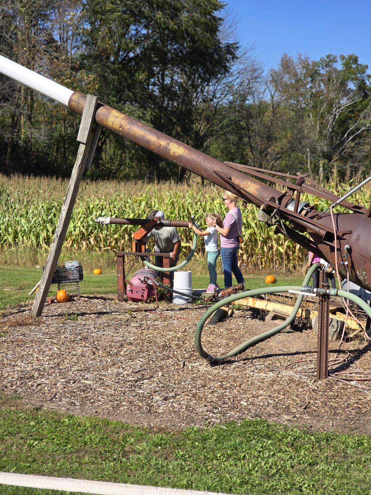 Rustic farm play area near the corn field